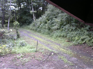 長野県菅平高原 ゆたか山荘 東側(坂下) 2025/08/02 08:15