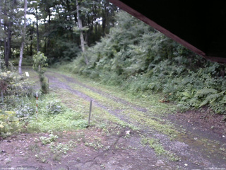 長野県菅平高原 ゆたか山荘 東側(坂下) 2025/08/02 08:30