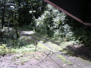 長野県菅平高原 ゆたか山荘 東側(坂下) 2025/08/02 08:45