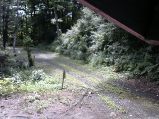 長野県菅平高原 ゆたか山荘 東側(坂下) 2025/08/02 09:00