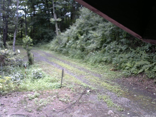 長野県菅平高原 ゆたか山荘 東側(坂下) 2025/08/02 09:15