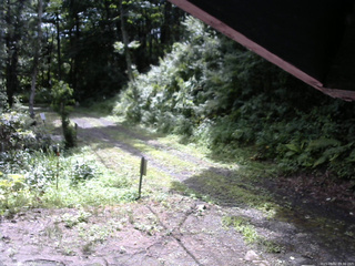 長野県菅平高原 ゆたか山荘 東側(坂下) 2025/08/02 09:30