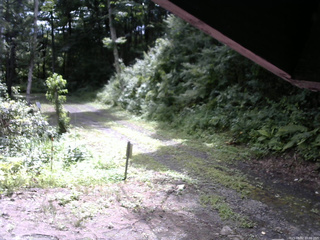 長野県菅平高原 ゆたか山荘 東側(坂下) 2025/08/02 10:00