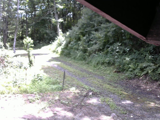 長野県菅平高原 ゆたか山荘 東側(坂下) 2025/08/02 11:30