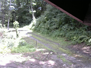 長野県菅平高原 ゆたか山荘 東側(坂下) 2025/08/02 11:45