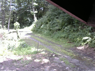 長野県菅平高原 ゆたか山荘 東側(坂下) 2025/08/02 12:00