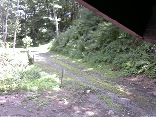 長野県菅平高原 ゆたか山荘 東側(坂下) 2025/08/02 12:30