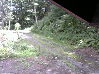 長野県菅平高原 ゆたか山荘 東側(坂下) 2025/08/02 12:45