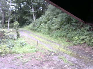 長野県菅平高原 ゆたか山荘 東側(坂下) 2025/08/02 13:00