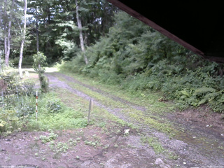 長野県菅平高原 ゆたか山荘 東側(坂下) 2025/08/02 13:30