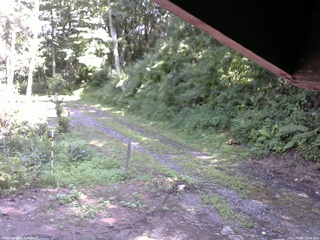 長野県菅平高原 ゆたか山荘 東側(坂下) 2025/08/02 14:00