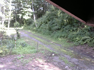 長野県菅平高原 ゆたか山荘 東側(坂下) 2025/08/02 14:15