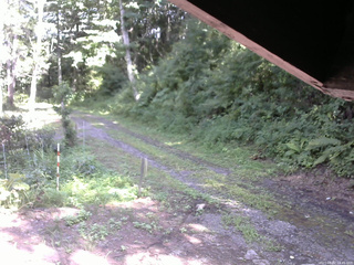 長野県菅平高原 ゆたか山荘 東側(坂下) 2025/08/02 14:45