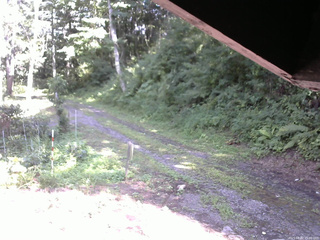 長野県菅平高原 ゆたか山荘 東側(坂下) 2025/08/02 15:00