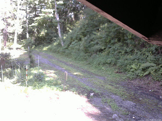 長野県菅平高原 ゆたか山荘 東側(坂下) 2025/08/02 15:15