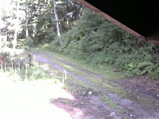 長野県菅平高原 ゆたか山荘 東側(坂下) 2025/08/02 15:30