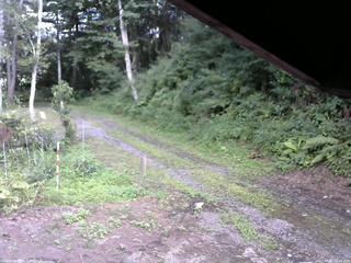 長野県菅平高原 ゆたか山荘 東側(坂下) 2025/08/02 15:45