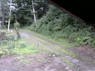 長野県菅平高原 ゆたか山荘 東側(坂下) 2025/08/02 16:00