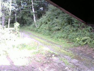 長野県菅平高原 ゆたか山荘 東側(坂下) 2025/08/02 16:15