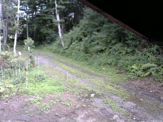 長野県菅平高原 ゆたか山荘 東側(坂下) 2025/08/02 16:30