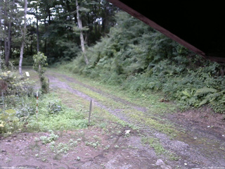 長野県菅平高原 ゆたか山荘 東側(坂下) 2025/08/02 17:00