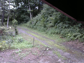 長野県菅平高原 ゆたか山荘 東側(坂下) 2025/08/02 17:15