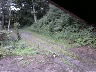 長野県菅平高原 ゆたか山荘 東側(坂下) 2025/08/02 17:30