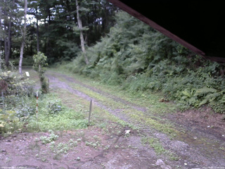 長野県菅平高原 ゆたか山荘 東側(坂下) 2025/08/02 17:45