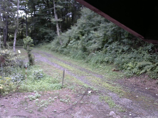 長野県菅平高原 ゆたか山荘 東側(坂下) 2025/08/02 18:00