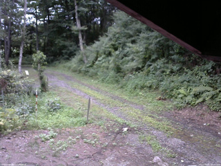 長野県菅平高原 ゆたか山荘 東側(坂下) 2025/08/02 18:15