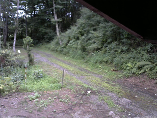 長野県菅平高原 ゆたか山荘 東側(坂下) 2025/08/02 18:30