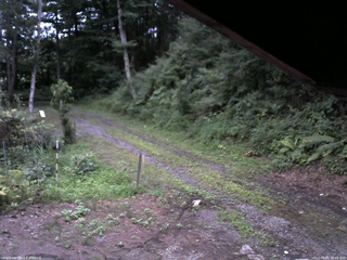 長野県菅平高原 ゆたか山荘 東側(坂下) 2025/08/02 18:45