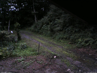 長野県菅平高原 ゆたか山荘 東側(坂下) 2025/08/02 19:00