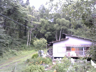 長野県菅平高原 ゆたか山荘 西側(坂上) 2025/08/02 07:15
