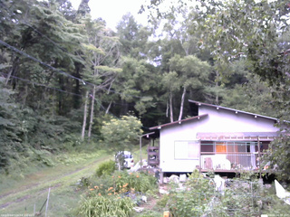 長野県菅平高原 ゆたか山荘 西側(坂上) 2025/08/02 08:30