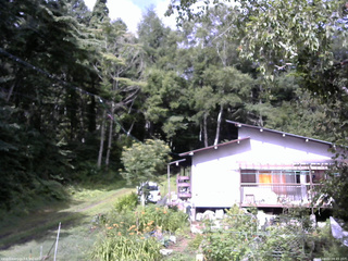 長野県菅平高原 ゆたか山荘 西側(坂上) 2025/08/02 08:45