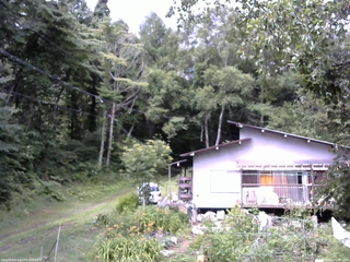 長野県菅平高原 ゆたか山荘 西側(坂上) 2025/08/02 09:45