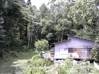 長野県菅平高原 ゆたか山荘 西側(坂上) 2025/08/02 10:30