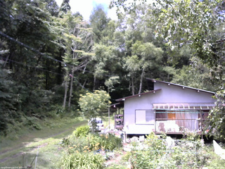 長野県菅平高原 ゆたか山荘 西側(坂上) 2025/08/02 10:45