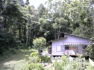 長野県菅平高原 ゆたか山荘 西側(坂上) 2025/08/02 11:30