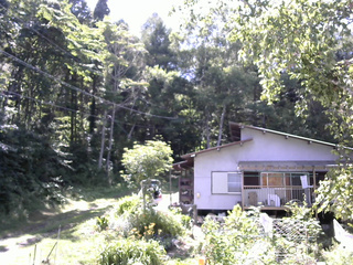 長野県菅平高原 ゆたか山荘 西側(坂上) 2025/08/02 14:00