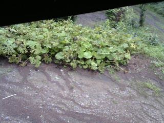 長野県菅平高原 ゆたか山荘 駐車場 2025/08/02 07:00