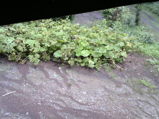 長野県菅平高原 ゆたか山荘 駐車場 2025/08/02 07:15