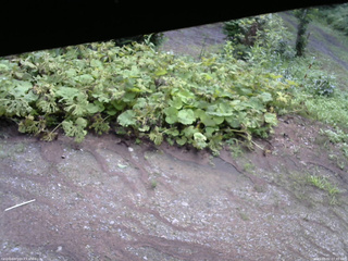 長野県菅平高原 ゆたか山荘 駐車場 2025/08/02 07:45