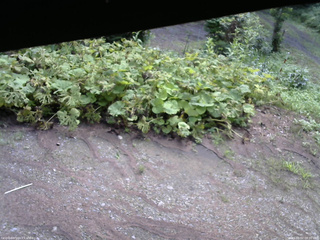 長野県菅平高原 ゆたか山荘 駐車場 2025/08/02 08:00