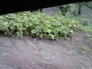 長野県菅平高原 ゆたか山荘 駐車場 2025/08/02 08:15