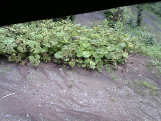 長野県菅平高原 ゆたか山荘 駐車場 2025/08/02 08:30