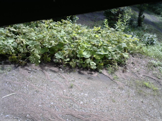 長野県菅平高原 ゆたか山荘 駐車場 2025/08/02 09:00