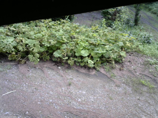 長野県菅平高原 ゆたか山荘 駐車場 2025/08/02 09:15