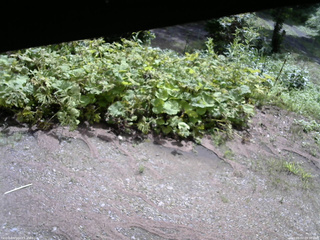 長野県菅平高原 ゆたか山荘 駐車場 2025/08/02 09:30